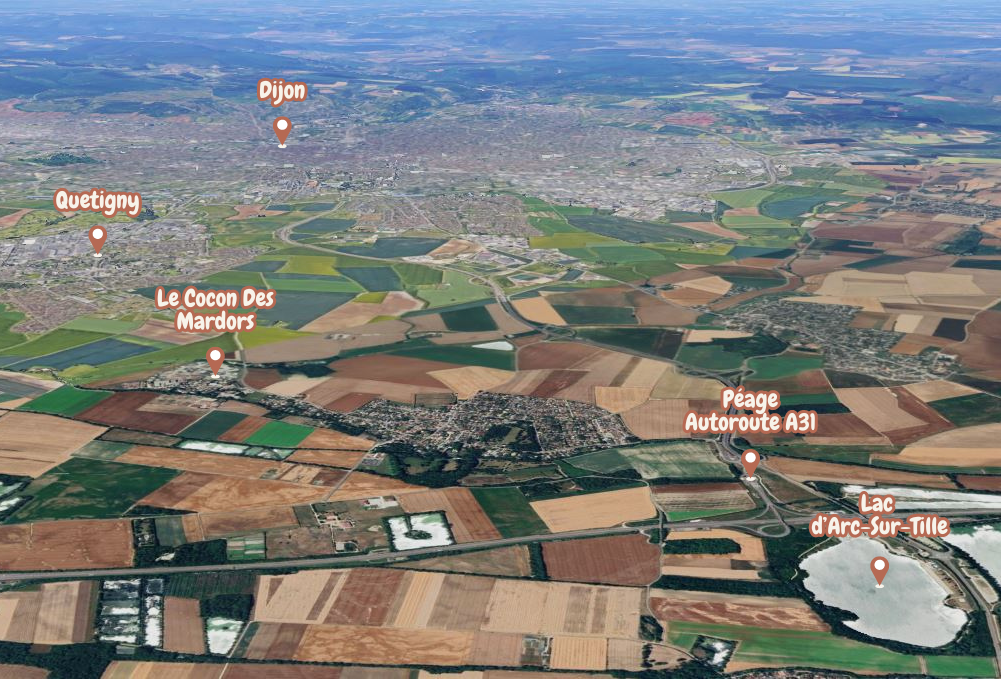 Dijon 5
